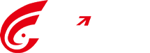 中国·Bb艾弗森(ballbet贝博)人工智能科技股份有限公司